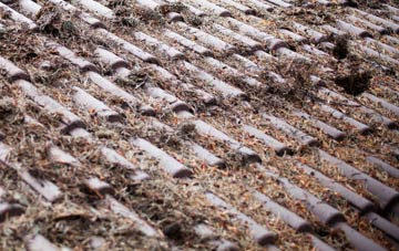 Great Gransden roof cleaning companies